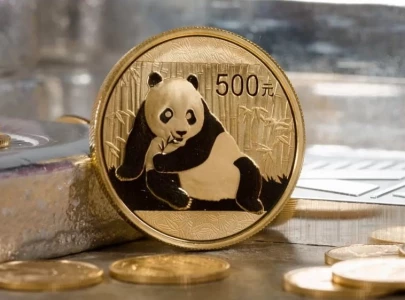finmin confirms launch date for panda bond in pakistan