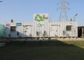 from wasteland to green haven