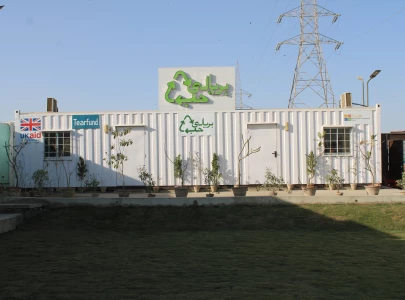 from wasteland to green haven from wasteland to green haven