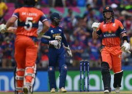 o dowd steers netherlands past nepal in t20 world cup