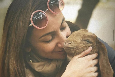 sacrifice not slaughter anoushey lists do s and don ts on eidul azha