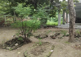 a monument to lahore s historic melting pot