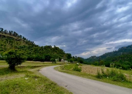 neela bothu photographer s paradise where nature legends unite