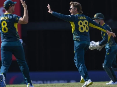 ruthless australia crush england at t20 world cup ruthless australia crush england at t20 world cup