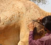 the michelangelo of camel fur