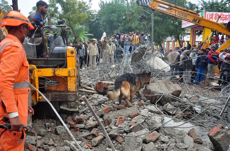 a sniffer dog examines the debris after the roof of a shelter at a crematorium collapsed in ghaziabad india january 3 2021 photo reuters