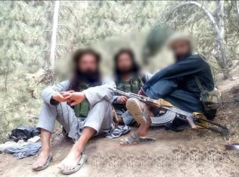 security forces also apprehended one terrorist photo ispr security forces also apprehended one terrorist photo ispr