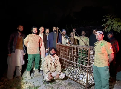 islamabad police register case against unknown leopard owner