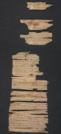 unravelling the scrolls that may rewrite buddhist history