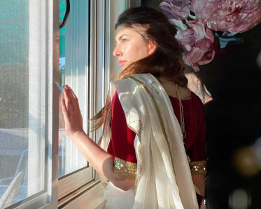 naimal to sonya 4 ways to drape the cotton saree