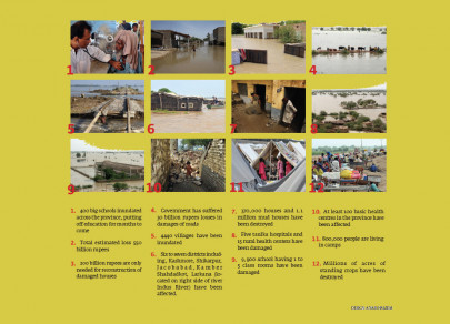 edible oil prices still high despite fall in world market edible oil prices still high despite fall in world market