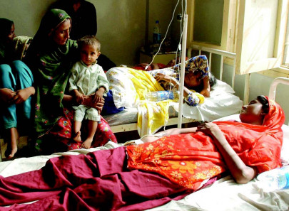 in a time of cholera a vaccine is delayed over red tape