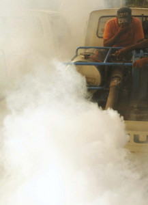 increase in dengue due to shortage of funds increase in dengue due to shortage of funds