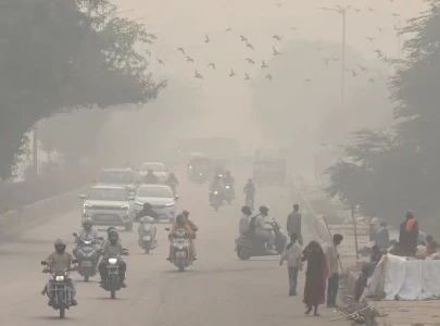 punjab govt exempts it sector from smog restrictions