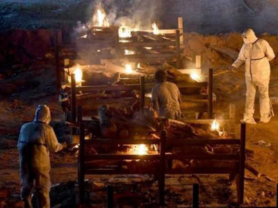 covid led to 15 million deaths globally not the 5 million reported who