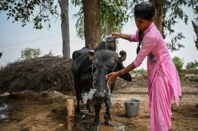 in pictures india s poor can t afford to beat the heat