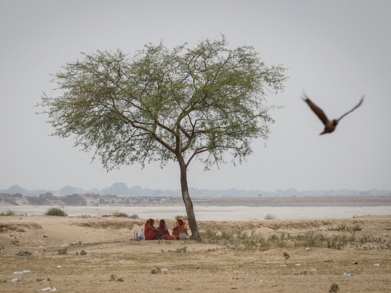 women rest under a tree on a hot summer day in ballia district in the northern state of uttar pradesh india june 21 2023 photo reuters