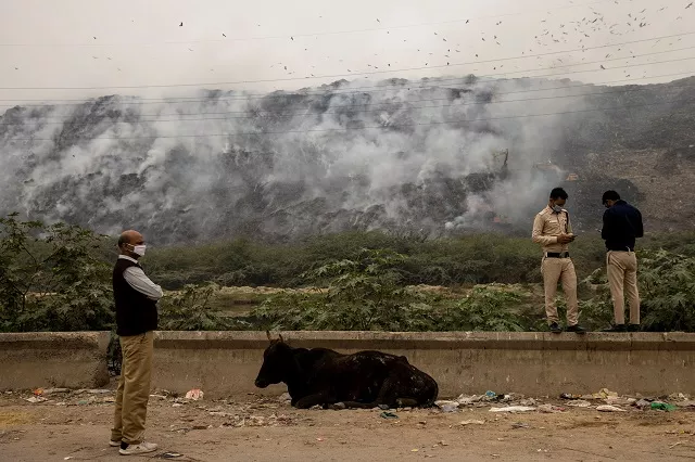 pollution deaths in india rose to 1 67 million in 2019 pollution deaths in india rose to 1 67 million in 2019