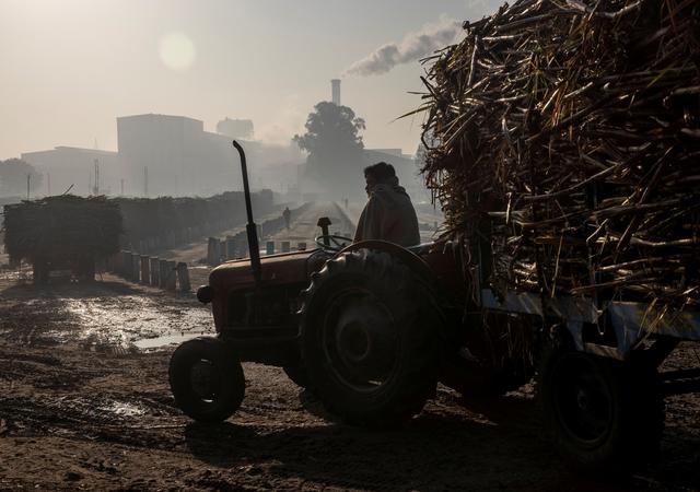 a farmer sitting in a tractor loaded with sugarcane waits to offload the crop outside a sugar factory in baghpat district in the northern state of uttar pradesh india february 5 2021 photo reuters