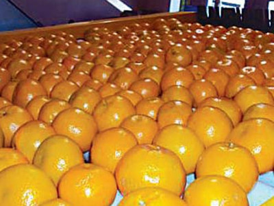 textile and seafood indonesia pressed to provide concessions