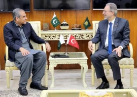 interior minister naqvi meets turkish ambassador announces free online visas for turks