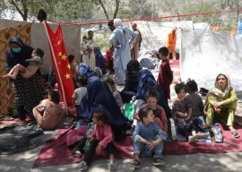 german govt sued over afghan dps german govt sued over afghan dps