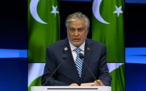 pakistan responded in self defence victory will be ours dpm dar