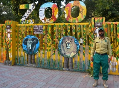 islamabad zoo begins mammoth makeover after lonely elephant s departure