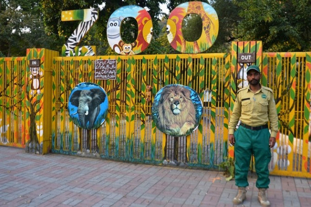 islamabad zoo begins mammoth makeover after lonely elephant s departure islamabad zoo begins mammoth makeover after lonely elephant s departure