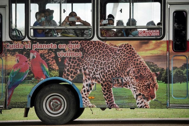 visitors take pictures from inside a bus at the zoo in havana cuba october 27 2021 photo reuters visitors take pictures from inside a bus at the zoo in havana cuba october 27 2021 photo reuters