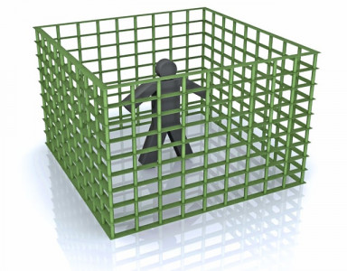 alleged stealing child locked up for stealing bulb