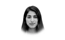 dragonbear vs trump dragonbear vs trump