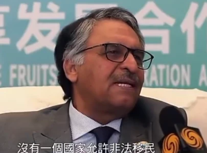 in line with international practice fm defends deportation of illegal afghans