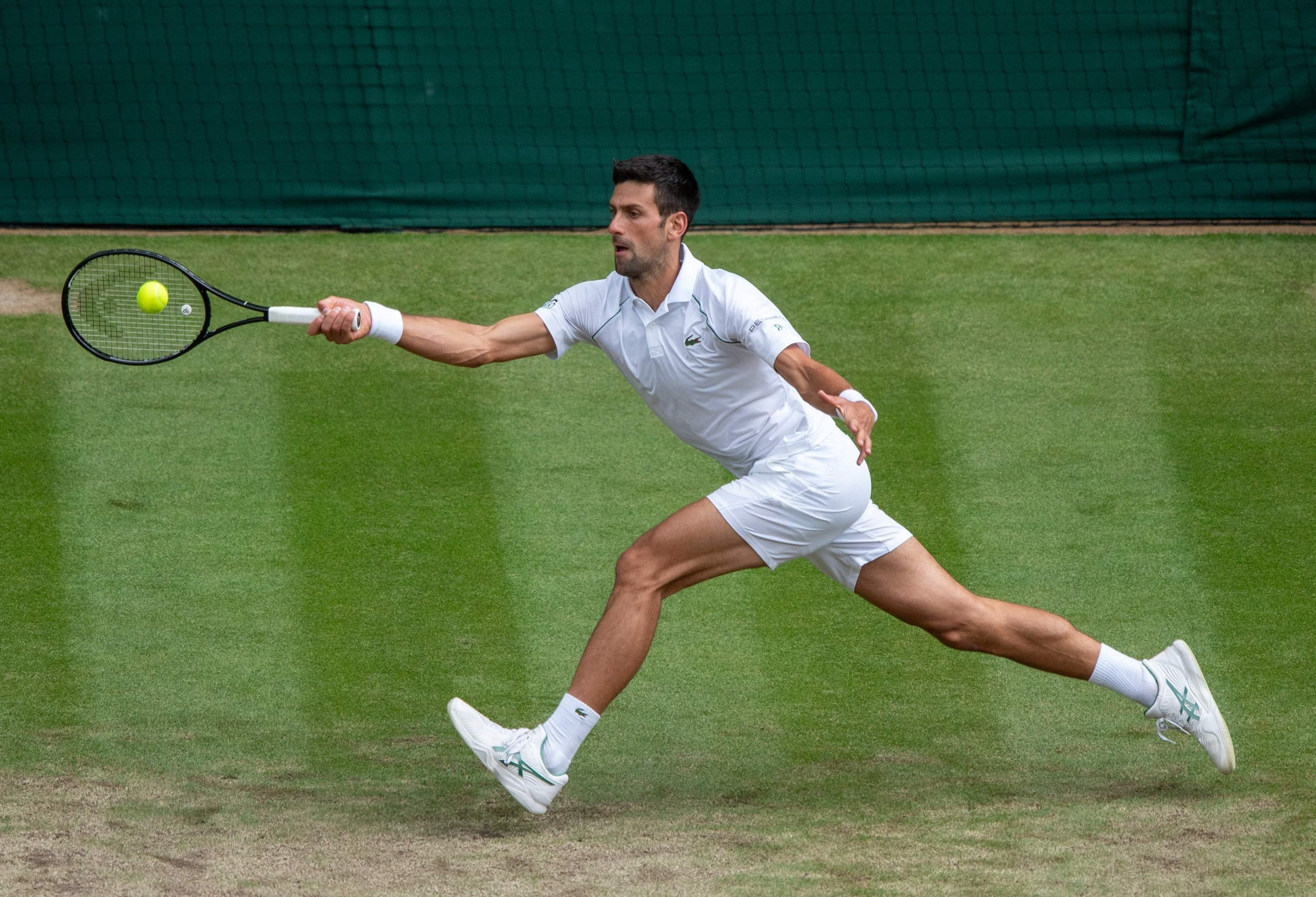 Djokovic, Alcaraz close in on Wimbledon duel