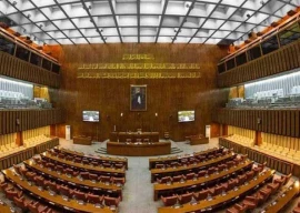 senate panel okays soe law tweaks senate panel okays soe law tweaks