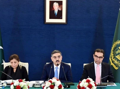 caretaker pm sees polls within four months