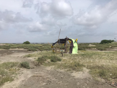 island authority ordinance shocks sindh island authority ordinance shocks sindh