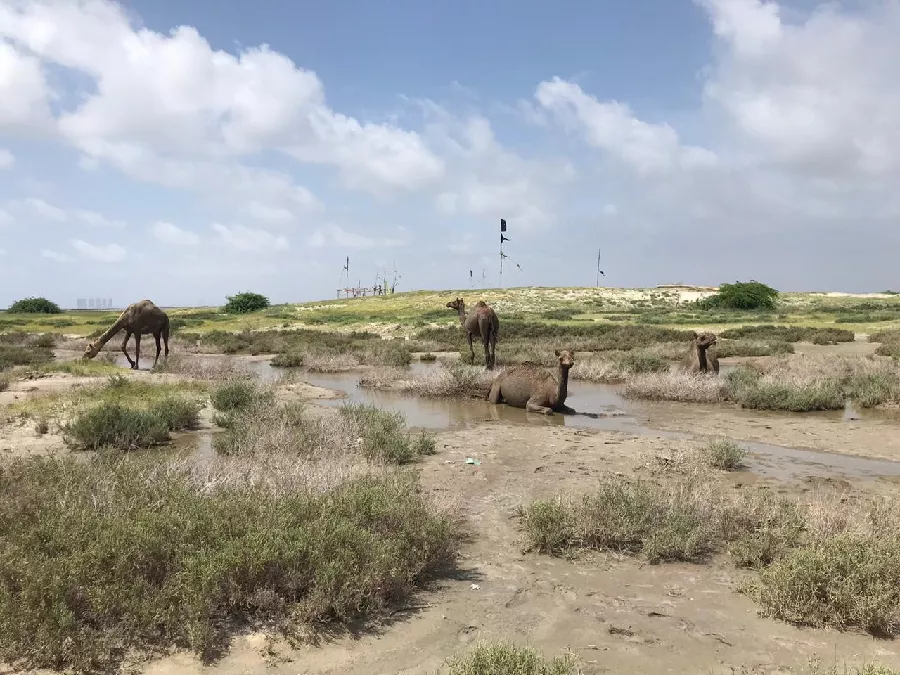 the twin islands span over 12 000 acres about the same area as karachi s defence housing authority photo express the twin islands span over 12 000 acres about the same area as karachi s defence housing authority photo express