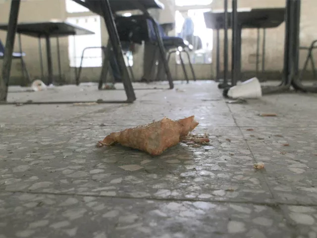 dirty student politics first university bomb opens new chapter in radicalisation dirty student politics first university bomb opens new chapter in radicalisation