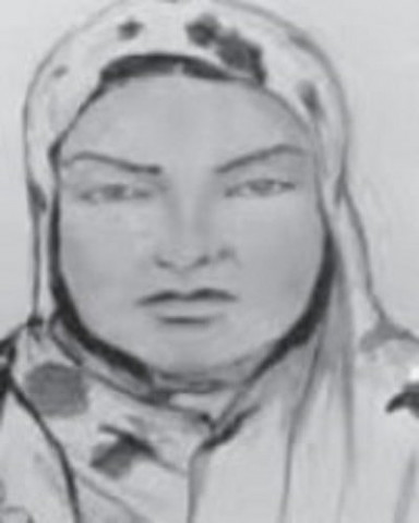 a sketch of the woman believed to have facilitated the suicide bomber who blew herself up outside the university of karachi s confucius institute last month photo express a sketch of the woman believed to have facilitated the suicide bomber who blew herself up outside the university of karachi s confucius institute last month photo express
