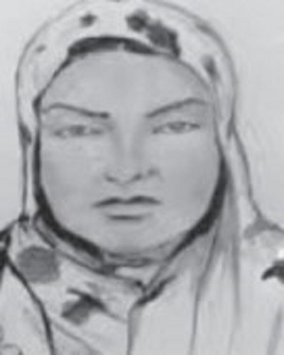 a sketch of the woman believed to have facilitated the suicide bomber who blew herself up outside the university of karachi s confucius institute last month photo express