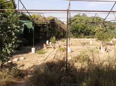 playgrounds gardens in ruins playgrounds gardens in ruins