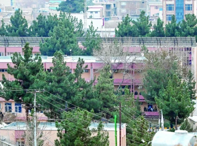 afghan minister killed in kabul suicide blast