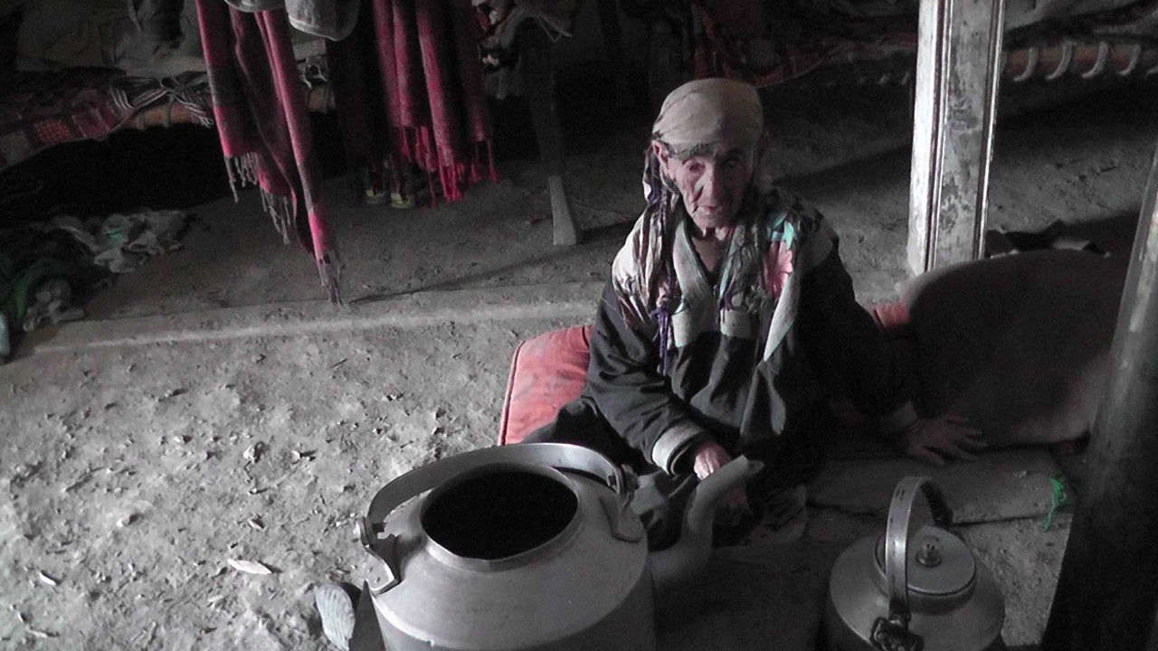 The origins of the Kalasha