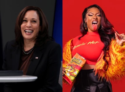conservatives slam megan thee stallion kamala harris show smut has no place in presidential rally