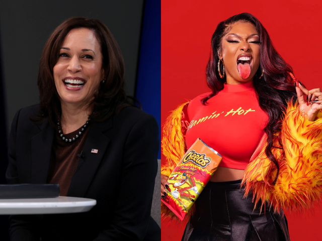 megan thee stallion to perform at kamala harris rally in atlanta megan thee stallion to perform at kamala harris rally in atlanta