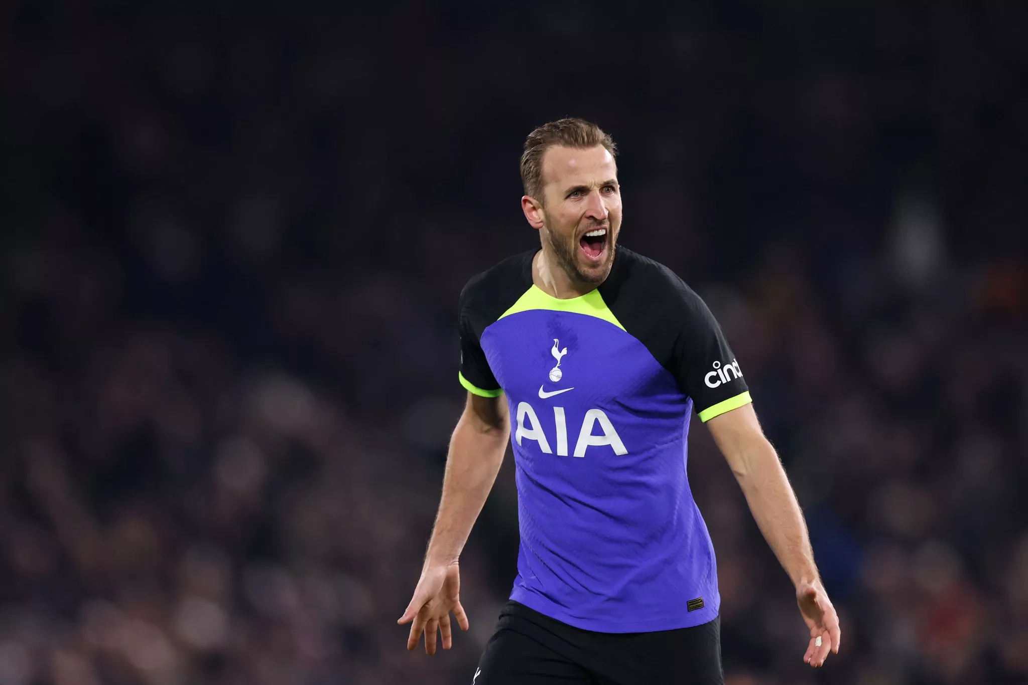 kane becomes spurs joint record scorer kane becomes spurs joint record scorer