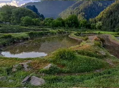 festival showcases kashmir s timeless traditions festival showcases kashmir s timeless traditions