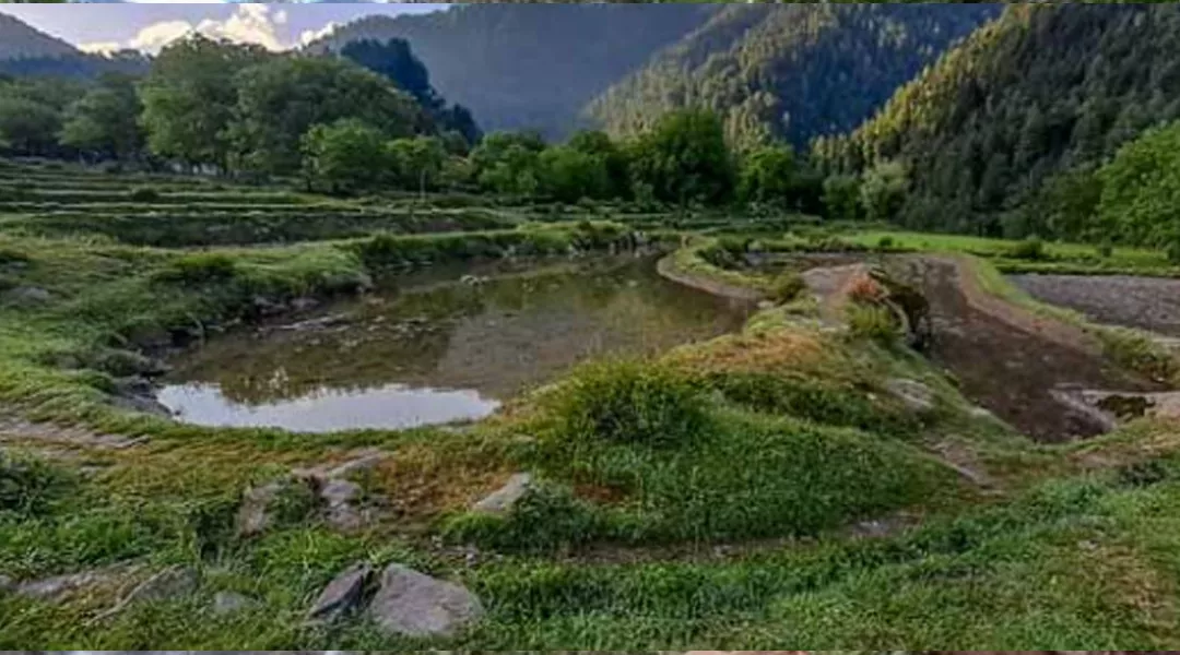 festival showcases kashmir s timeless traditions festival showcases kashmir s timeless traditions