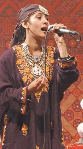 colours of kashmir brighten up lok mela